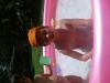 Sanam dans la piscine rose
